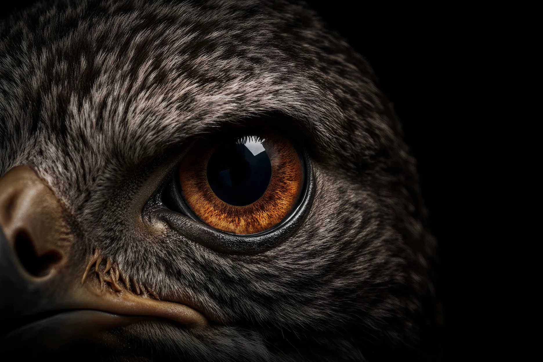 Bird Close-Up