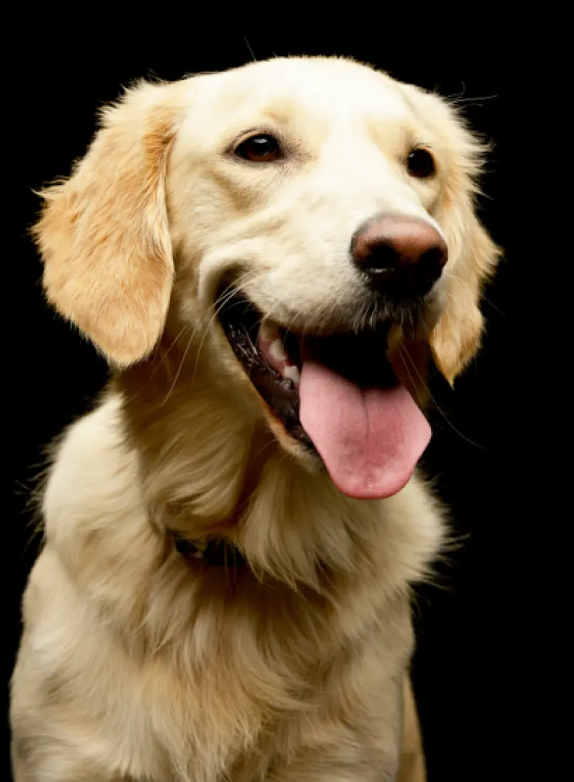Low resolution of a profile portrait of a person with long straight black hair and bangs, wearing a cream-colored turtleneck sweater. The subject faces left against a plain black background, with soft, even lighting highlighting the side of the face and hair.